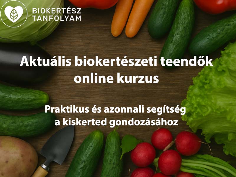 Jelentkezz biokertész Tanfolyamra!