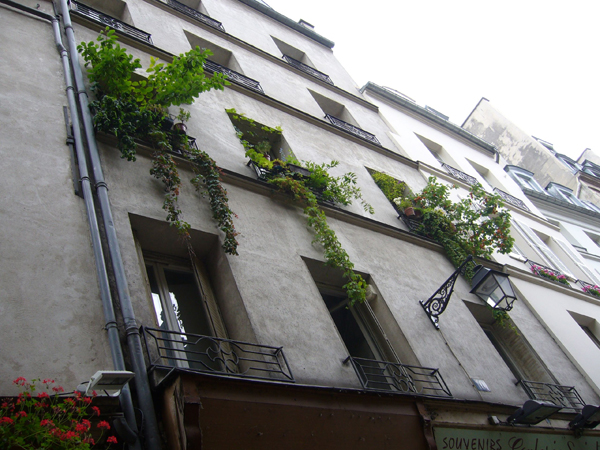 francia ablak, Parizs