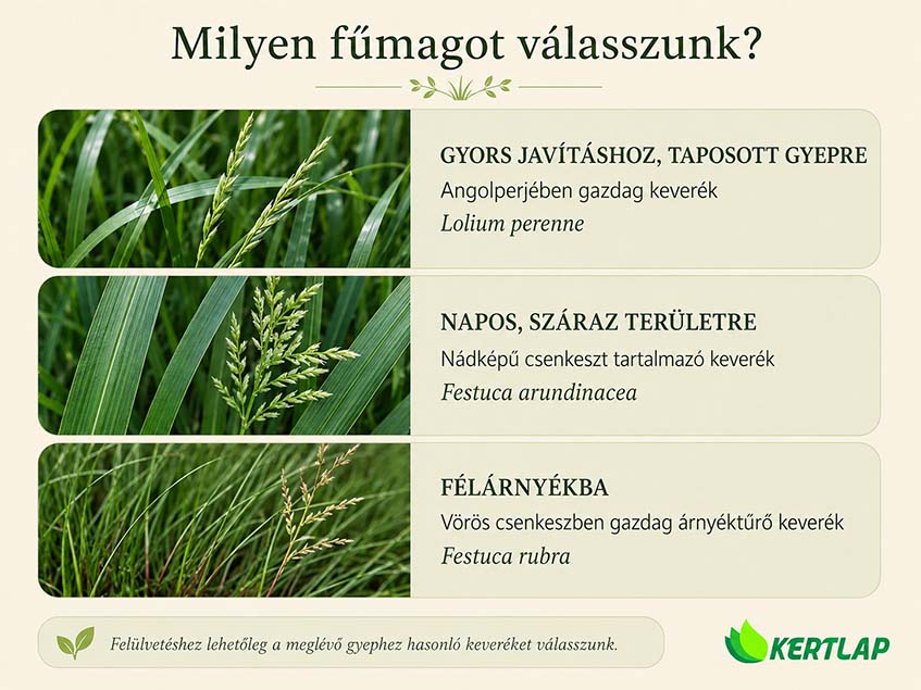 fűmag ajánlat