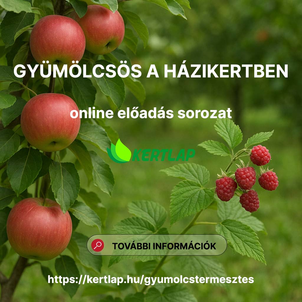 Jelentkezz a házikerti gyümölcstermesztés programra!