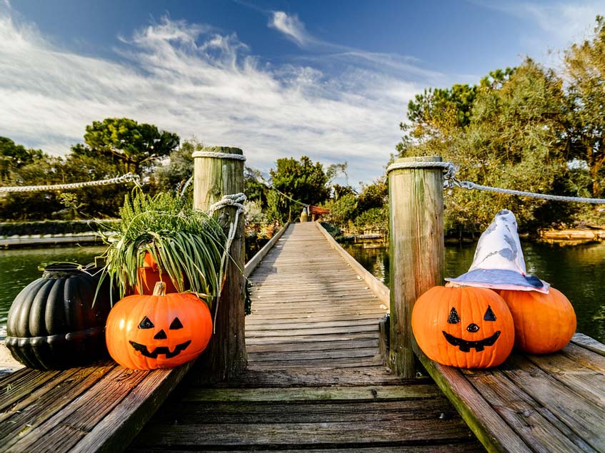 halloween dekoráció