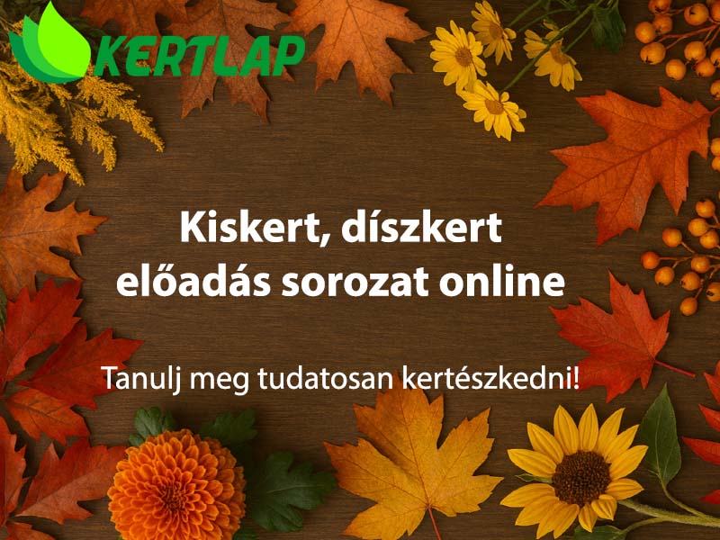 Jelentkezz Kiskert Tanfolyamra!