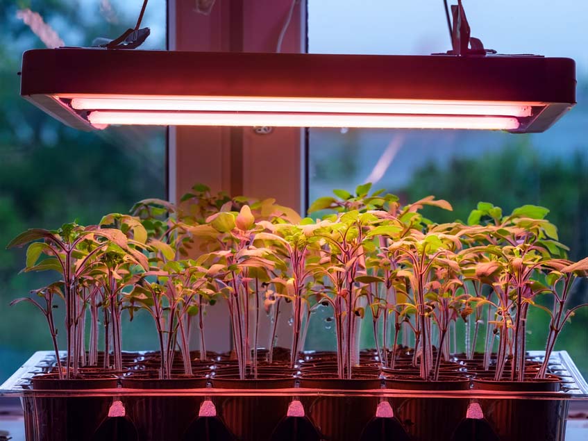 led-es megvilágítás