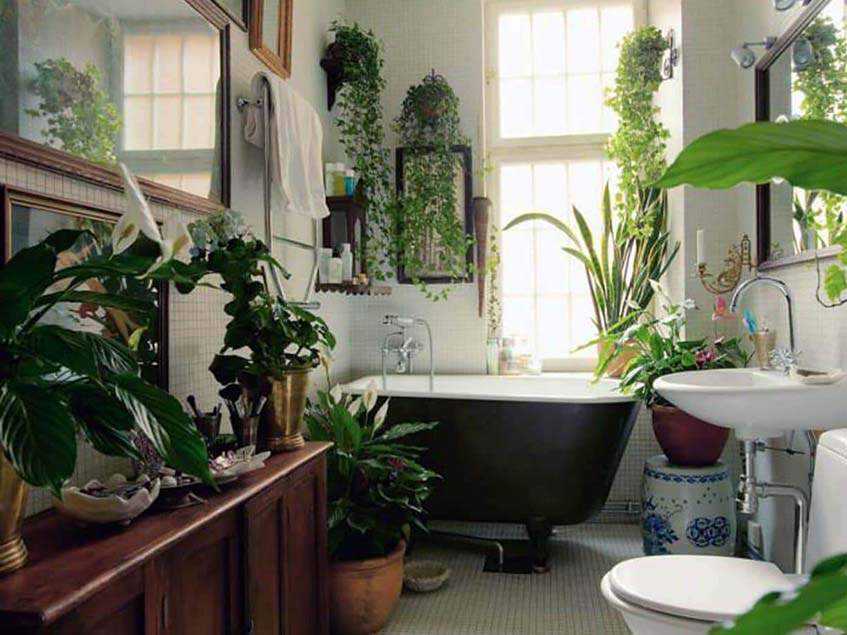 növényes fürdőszoba