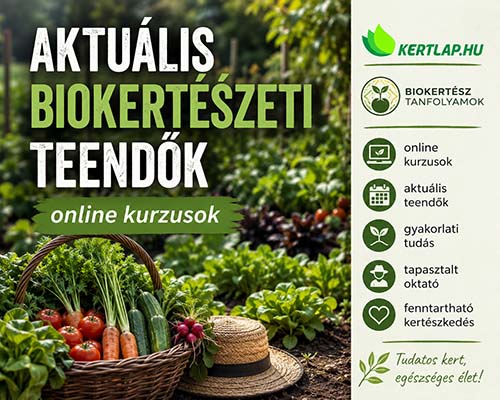 Jelentkezz biokertész Tanfolyamra!