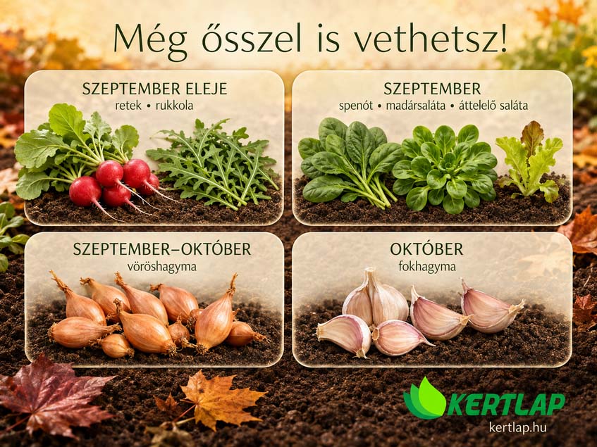 őszi vetés