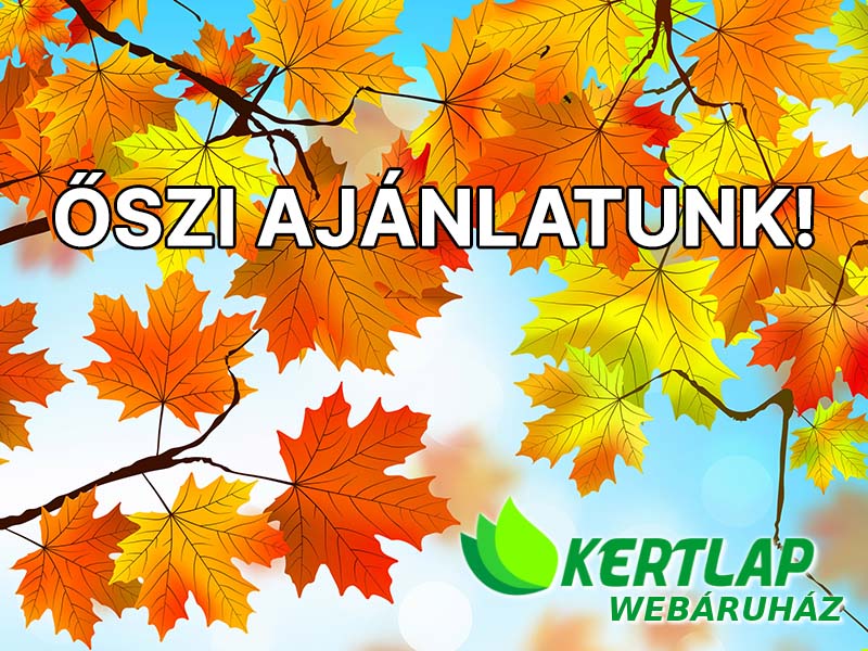 Vásárolj most!